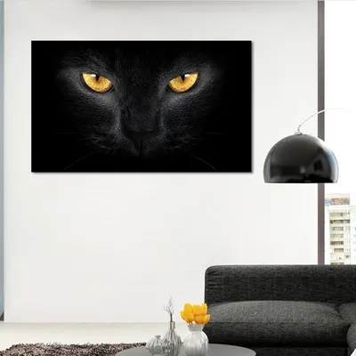 Больше 40 000 бесплатных фотографий на тему «Черный Кот» и «»Кот - Pixabay