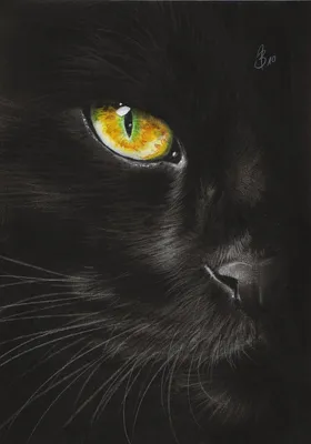 Черный кот с яркими желтыми глазами Стоковое Изображение - изображение  насчитывающей кот, пол: 98039519