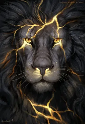 Фото Черный лев с золотыми линиями, by rajewel