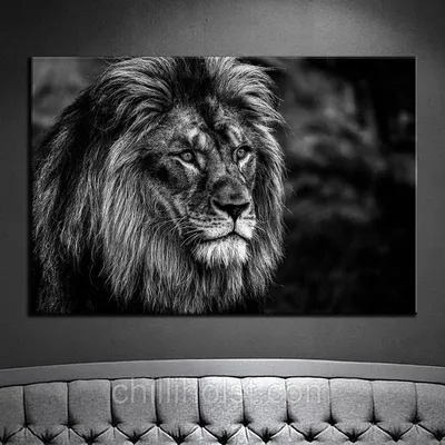Черный лев картинка - 64 фото