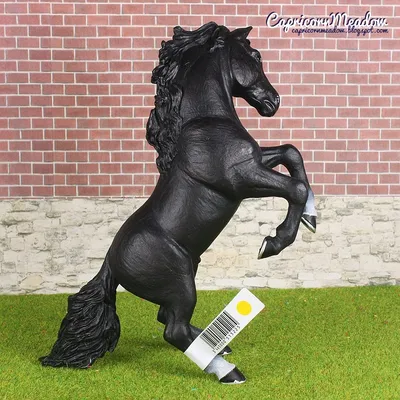 черный конь красивый портрет обои Hd, черная красавица картина конь, лошадь,  черный фон картинки и Фото для бесплатной загрузки