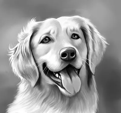 Черная Собака На Белом Диване, Картина - Valentina Procenko | Artmajeur