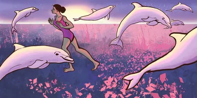 К чему снятся дельфины: толкование снов про дельфинов