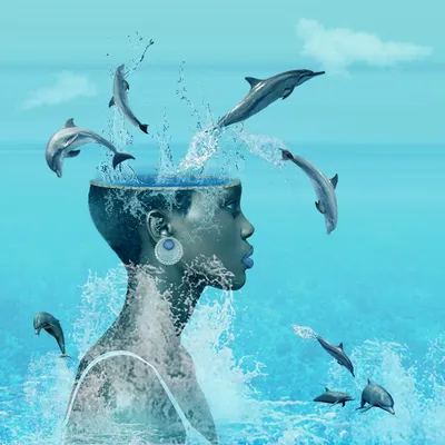 Дельфины. Истории спасений | Пикабу