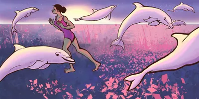 Интерьерная картина - \"дельфин, семья дельфинов, дельфины в море, дельфины  на глубине (35) 30х40\" - купить по низкой цене в интернет-магазине OZON  (790555374)
