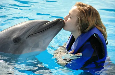 Девушка целует дельфина, высунувшего морду из воды — Фотографии для аватара  | Дельфины, Животные, Фотографии