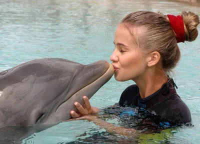 Черноморский дельфин целует девочку, …» — создано в Шедевруме
