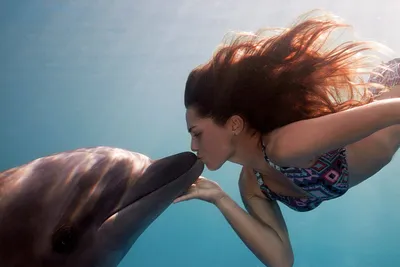 Невозможно милые поцелуйчики дельфина и \"русалочек\" покоряют юзеров