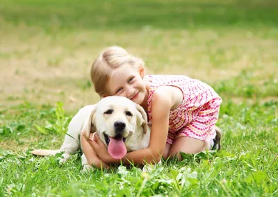 Все что нужно знать о дружбе собак и детей