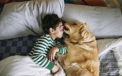 Семейный психолог перечислила доступные способы помочь ребенку не бояться  собак | РБК Life