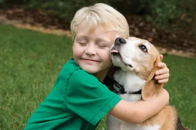 Дети и собаки в доме: как им подружиться | Мамоведия - о здоровье и  развитии ребенка