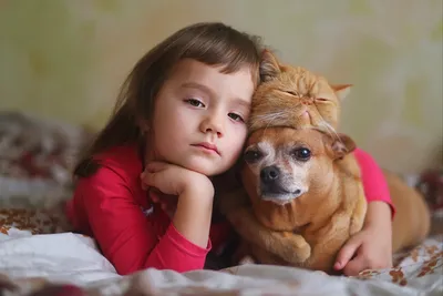 Собаки и дети: как обеспечить безопасное и гармоничное взаимодействие |  ЗооПроект | Дзен