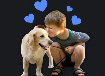 Эти породы собак опасны для детей - список, фото | РБК Украина