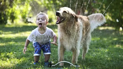Игра детей с щенком Дети и собака в саде Стоковое Фото - изображение  насчитывающей зеленый, счастливо: 142780306
