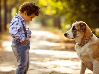 Дружба детей и собак - лучшее, что может быть в детстве (24 фото) —  Российское фото