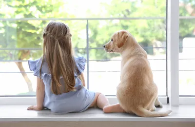 Жизнь в одном доме с собакой обезопасила детей от тяжелого хронического  заболевания