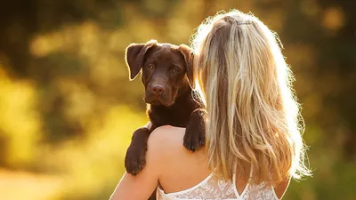 Девушка с собакой - красивые фото