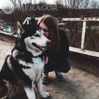 MERAGOR | Девушка без лица с собакой на аву скачать
