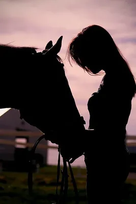 Молодая женщина на лошади Всадник спины лошади, верховая лошадь женщины на  B Стоковое Изображение - изображение насчитывающей счастливо, лужок:  40770553