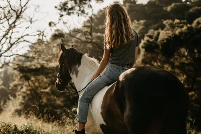 Молодая женщина на лошади Всадник спины лошади, верховая лошадь женщины на  B Стоковое Фото - изображение насчитывающей привлекательностей,  конноспортивно: 85724816