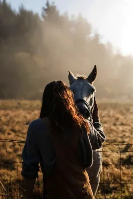 Молодая женщина на лошади Всадник спины лошади, верховая лошадь женщины на  B Стоковое Фото - изображение насчитывающей лошади, волосы: 40769764