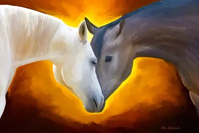 𝐀𝐗𝐌𝐄𝐓𝐎𝐕𝐍𝐀 on Instagram: “«Ко лбу лошади привязано добро до Судного  дня» 🤍 (Бухари)” | Horse girl photography, Horse girl, Islamic girl images