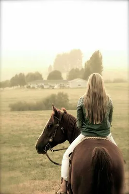 Фото девушка на лошади со спины фотографии