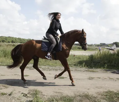 Личное: Блог | Happy Horse Training