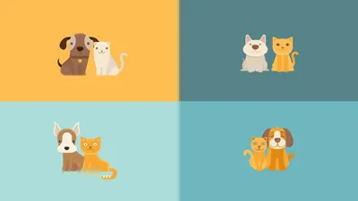 Кошка и собака - Друзья или враги? | Психология животных | Дзен