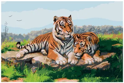 Двух тигров, прошедших в Приморье реабилитацию, выпустят на свободу в ЕАО -  PrimaMedia.ru