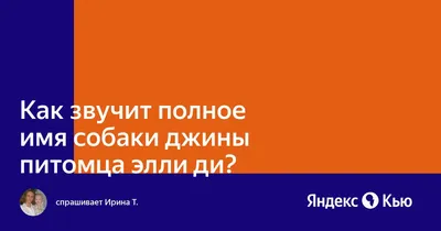 Элли Ди: ютуб каналы видеоблогерши, биография и животные Элеоноры, личная  жизнь