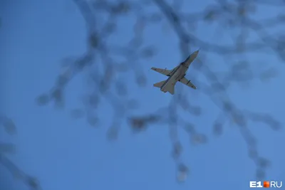 Найдены останки членов экипажа разбившегося самолета Ан-26
