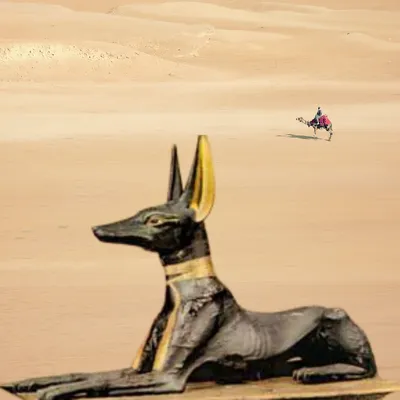 Девочки фараоновой собаки ждут своих хозяев. #фараоновасобака #выжла  #дратхаар #веймаранер #легавая #борзая #лабрадор #самоед #шпиц… | Instagram
