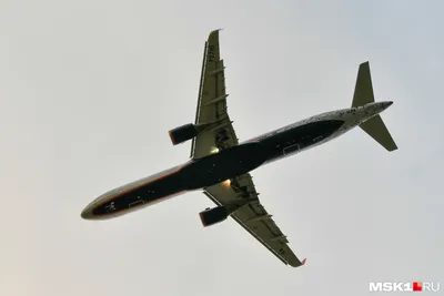 В Волгограде экстренно сел самолет, летевший в Минводы - 27 августа 2023 -  v1.ru