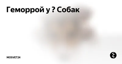 Эксклюзивный кадр: Дорохов придумывает шутку про геморрой | постироничный  квн | ВКонтакте