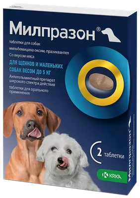 Купить сухой корм для собак, SPECIAL DOG EXCELLENCE Monoprotein ягненок,  0.8кг, цены на Мегамаркет | Артикул: 600004265199