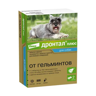 Купить сухой корм для собак Best Dinner Puppy Sensible, с ягнёнком и  ягодами, 1.5кг, цены на Мегамаркет | Артикул: 600004764772