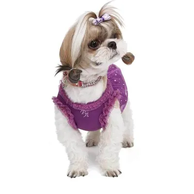 089 PA - Платье для собак \"Гламурная принцесса\" | Crystaldog - одежда для  собак