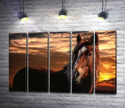 портрет гнедой лошади пасущейся в красивых желтых цветах Фото Фон И  картинка для бесплатной загрузки - Pngtree