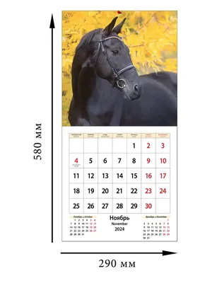 Монета 25 долларов 2014 Год лошади цветная Лунар Австралия - купить по цене  52 500 руб. в магазине “Империал”