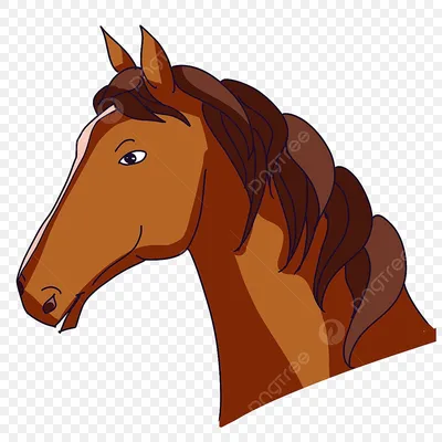 Фото головы лошади в профиль 