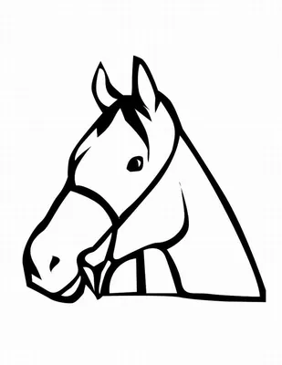 Эдгар Дега - Стоящая лошадь в профиль, 1882, 30×24 см: Описание  произведения | Артхив