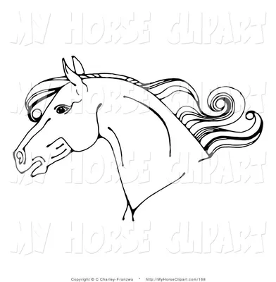 Раскраски мордочка лошади (45 фото) » Картинки, раскраски и трафареты для  всех - Klev.CLUB