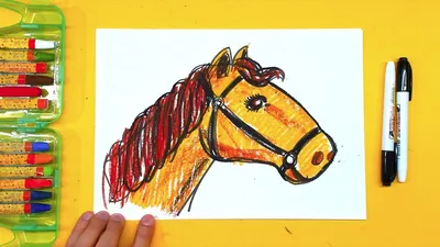 Морда лошади боком рисунок - 64 фото