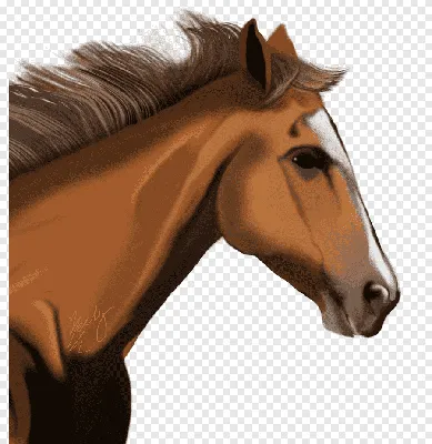 Портрет цветной лошади-6 Векторное изображение ©Alinart 188033990