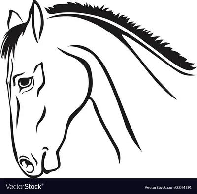 Рисунок голова коня - 57 фото