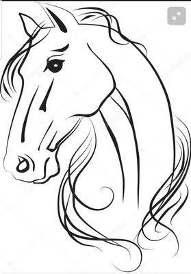Изображение головы лошади в профиль с ушами на черном фоне, созданное с  помощью генеративного ии | Премиум Фото