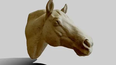 Голова лошади рисунок - 65 фото