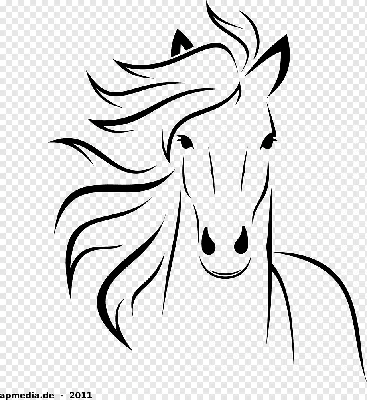 Профиль головы лошади пегой лошади Стоковое Изображение - изображение  насчитывающей конноспортивно, против: 81441205