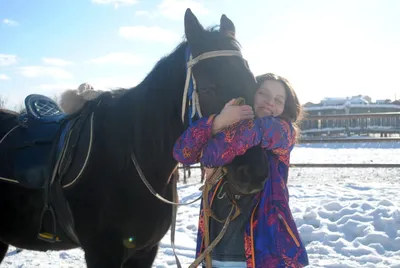 Как умудряются выживать в дикой природе якутские лошадки (6 фото) »  Невседома